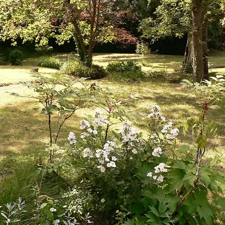 Bed & Breakfast Logis Saint Aubin Savennieres