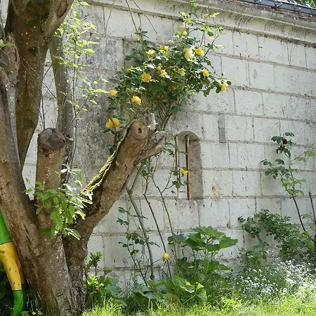 Bed & Breakfast Logis Saint Aubin Savennieres